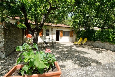 Casa vacanze a Pelago con giardino