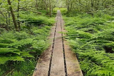 4 persoons vakantie huis in Hals-By Traum