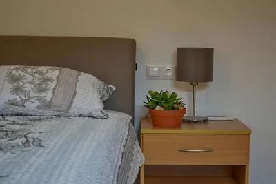 Standard One Bedroom Apartment