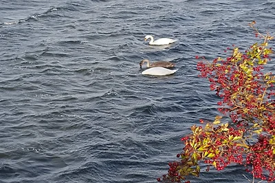 7 Personen Ferienhaus in Stege-By Traum