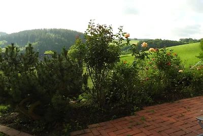 Appartamento a Deifeld con giardino