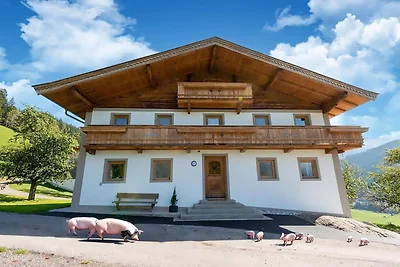 Bauernhaus nahe Wildkogel Skipisten