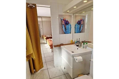 Villa "Lezard vert"