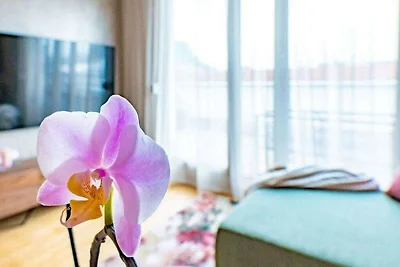 Top van Singen Comfortabele vakantiewoning