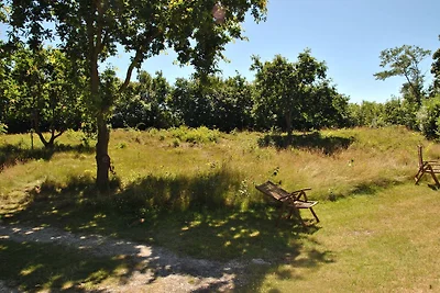 Luxusvilla an den Dünen