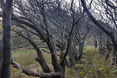 6 persone case ad Nykøbing Sj-By Traum