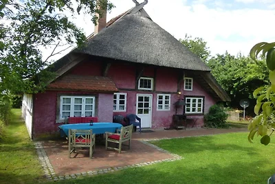 Gezellig huisje met rieten dak