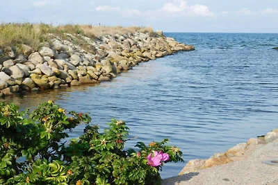 4 Personen Ferienhaus in Sæby-By Traum