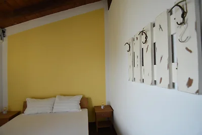 Ferienhaus in Trarego Viggiona