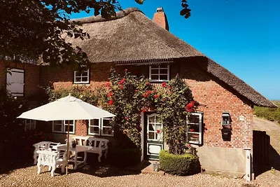 Ferienhaus in Midlum mit Schwimmbecken