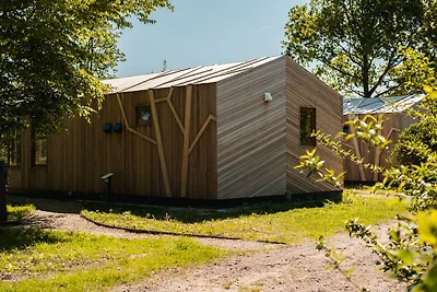 Vakantiehuis in Friesland met Kasuitstraling
