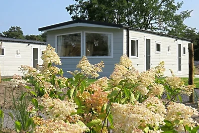 Ferienhaus in Mol mit Terrasse und Wifi