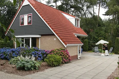 Ferienhaus Buitenplaats Berg mit 5 Zimmern