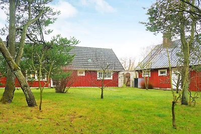 6 persoons vakantie huis in LAHOLM