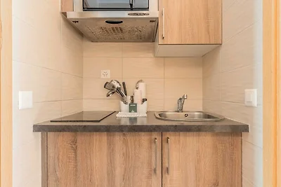 Wohnung der Wahl - AC- 1BR-4P- Genf