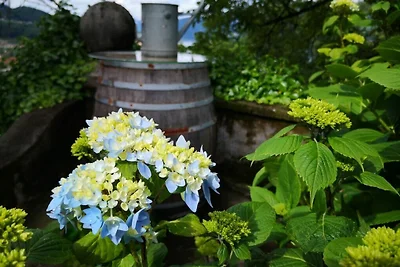 Villa Hermanno Seeblick