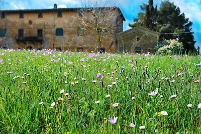 Splendida casa vacanze a Volterra con piscina