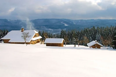Historische Berghütte Tara
