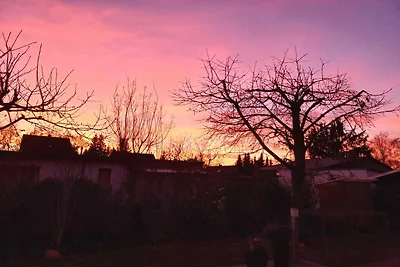 Moderne Ferienwohnung in Berlin Mahlsdorf