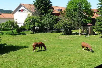 Apartamento vacacional en Wertach con Wi-Fi