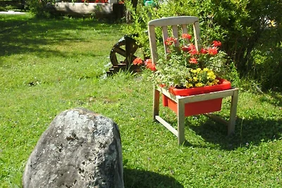 Schwalbennest im Ferienhaus Alt