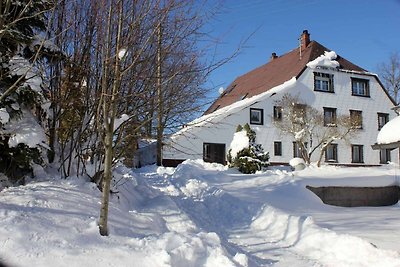 Charmante Wohnung im Schwarzwald