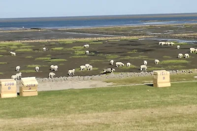 Nordsee-deichoase