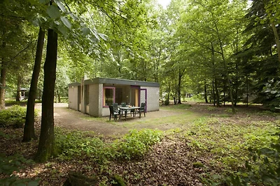 Bungalow ordinato vicino al Veluwe