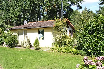 Ferienhaus Vieting direkt am Eldeufer in...