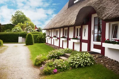 Geräumige Ferienwohnung mit Terrasse in Klütz