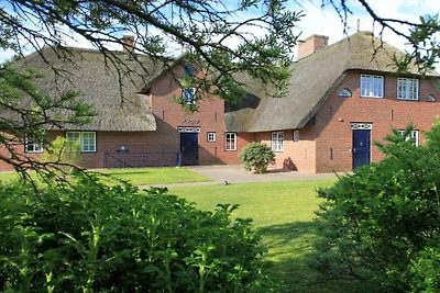 Schroeder's Haus  Kampen  Haus 1B