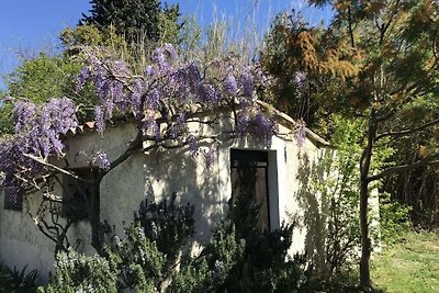 Tranquilla casa vacanze con piscina