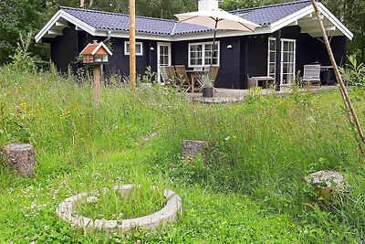 6 persoons vakantie huis in Jerup