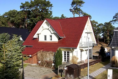 Doppelhaushälfte Bernsteinhaus I,...