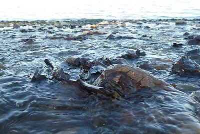 4 Personen Ferienhaus in Haderslev-By Traum