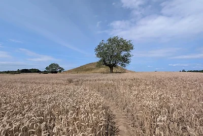 4 Personen Ferienhaus in Martofte