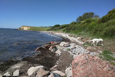 4 persone case ad Karrebæksminde-By Traum