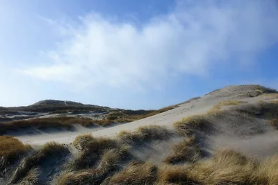 4 Personen Ferienhaus in Ringkøbing-By Traum