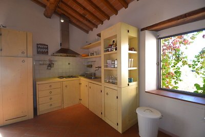Sonniges Ferienhaus in Pelago Italien mit Poo...