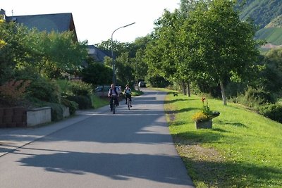 Aantrekkelijk appartement in Lösnich