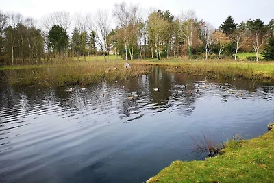 6 persone case ad Oksbøl-By Traum