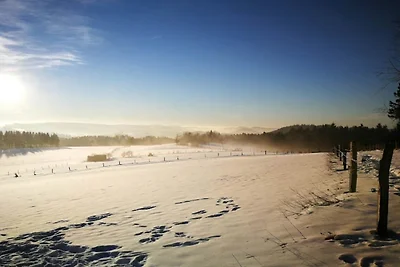 Ferienhaus gegenüber dem Skigebiet