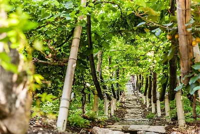 Appartamento per vacanze a Merano con piscina