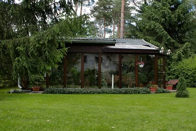 Sonnenschein in Nassenheide