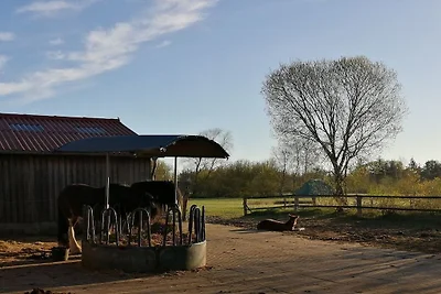 Ferme de vacances avec 2 chambres