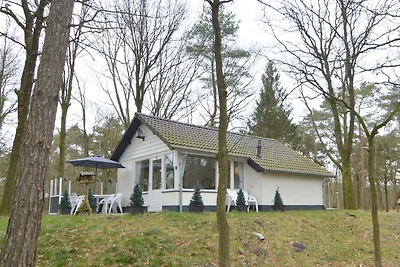 Abgeschiedene Ferienwohnung in dichtem Wald