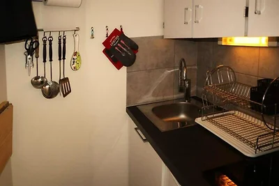 Wohnung in Boussolenc mit Skizugang