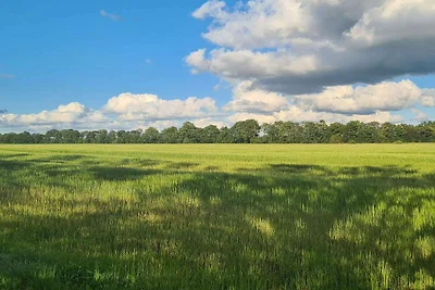 4 stelle case ad Ansager-By Traum