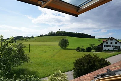 Liebenweiler 11