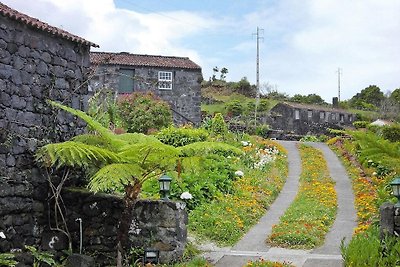 Ferienhäuser Adegas do Pico, Praínha de Baixo...